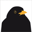 Ann Nystrom black bird greeting card